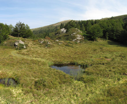 Projection: Cylindrical (1)
FOV: 138 x 64
Ev: 13.27