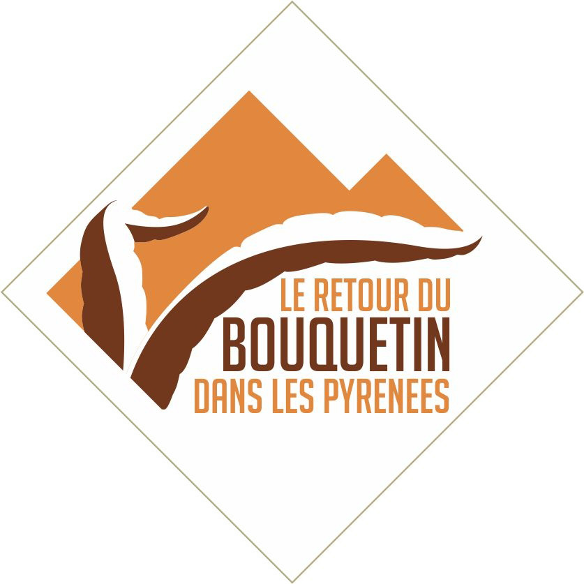 logo-bouquetin