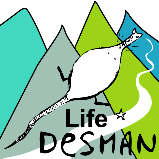 life-desman