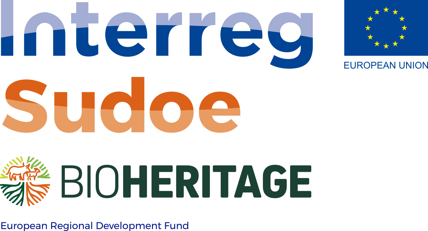 01officiel_bioheritage-logo-sudoe-vertical