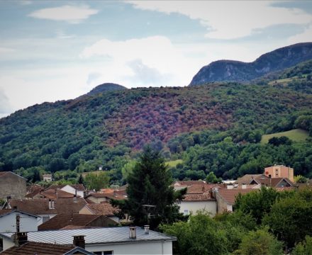 effet du climat sur la forêt, été 2020