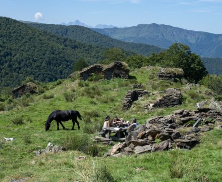 des chevaux castillonnais, race locale des Pyrénées Ariégeoises en estive