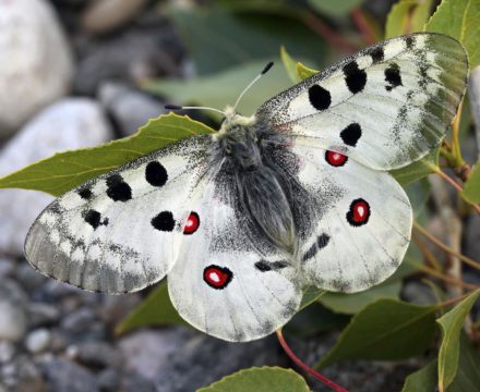 ???????????????????????????