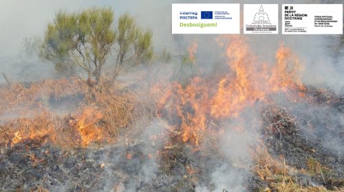 Le débroussaillement joue un rôle dans la prévention du risque incendie.