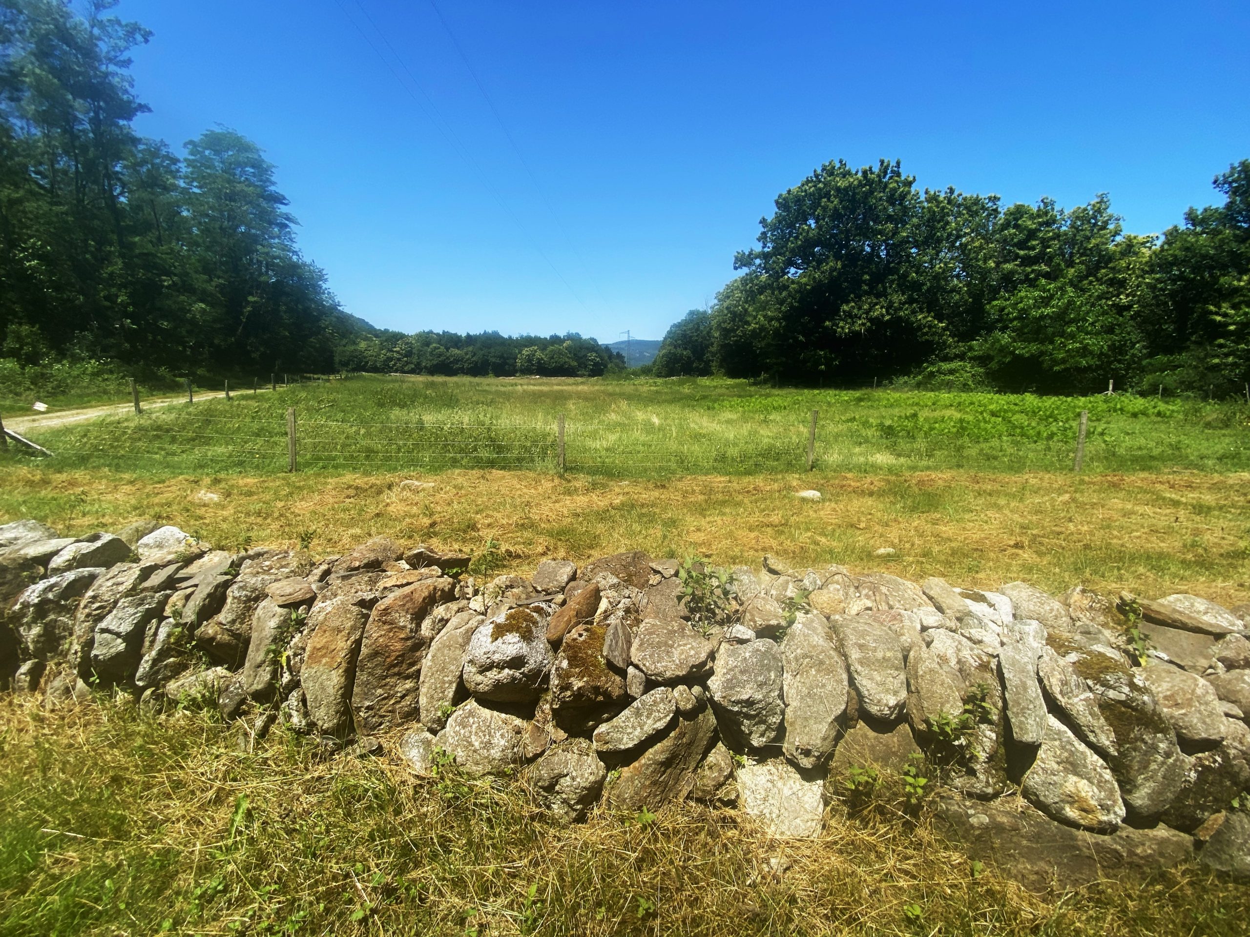 Un muret en pierre sèche a aussi été réalisé pour accueillir la biodiversité.