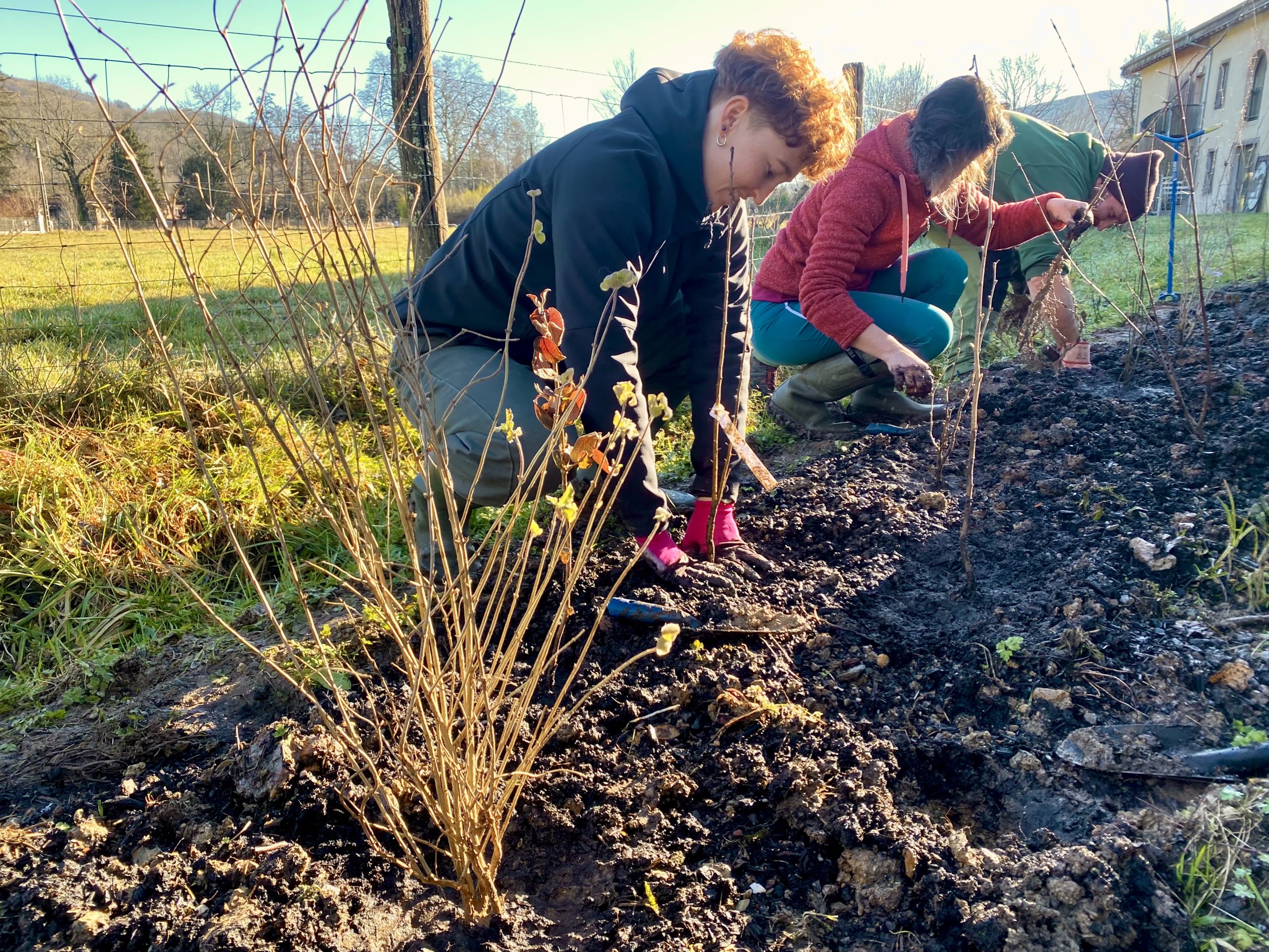 Les plantations ont été réalisées par les équipes du SMPNR. PHOTO PNRPA